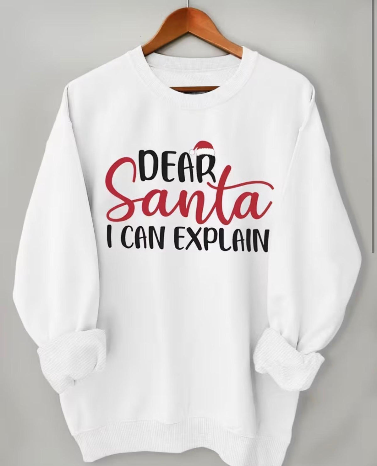 Suera Manga larga ligera "Dear Santa I Can Explain"