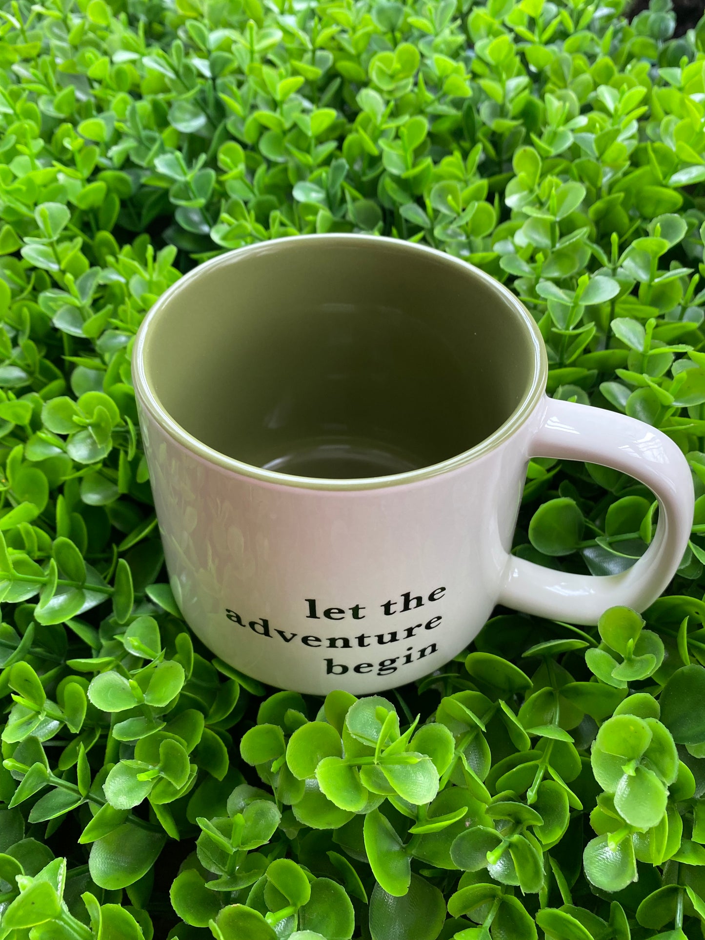 Taza: Let the Adventure Begin