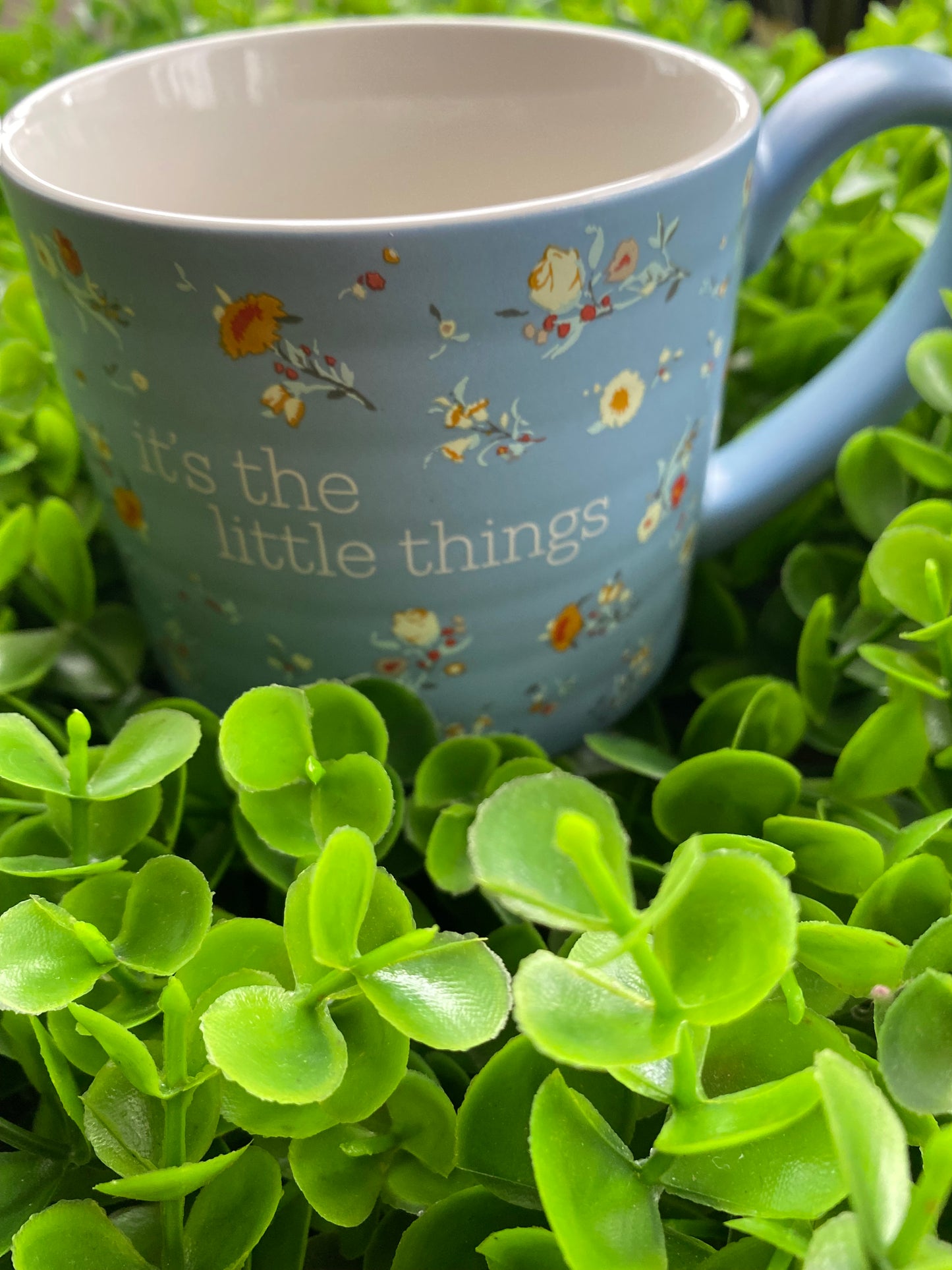 Taza: It's The Little Things