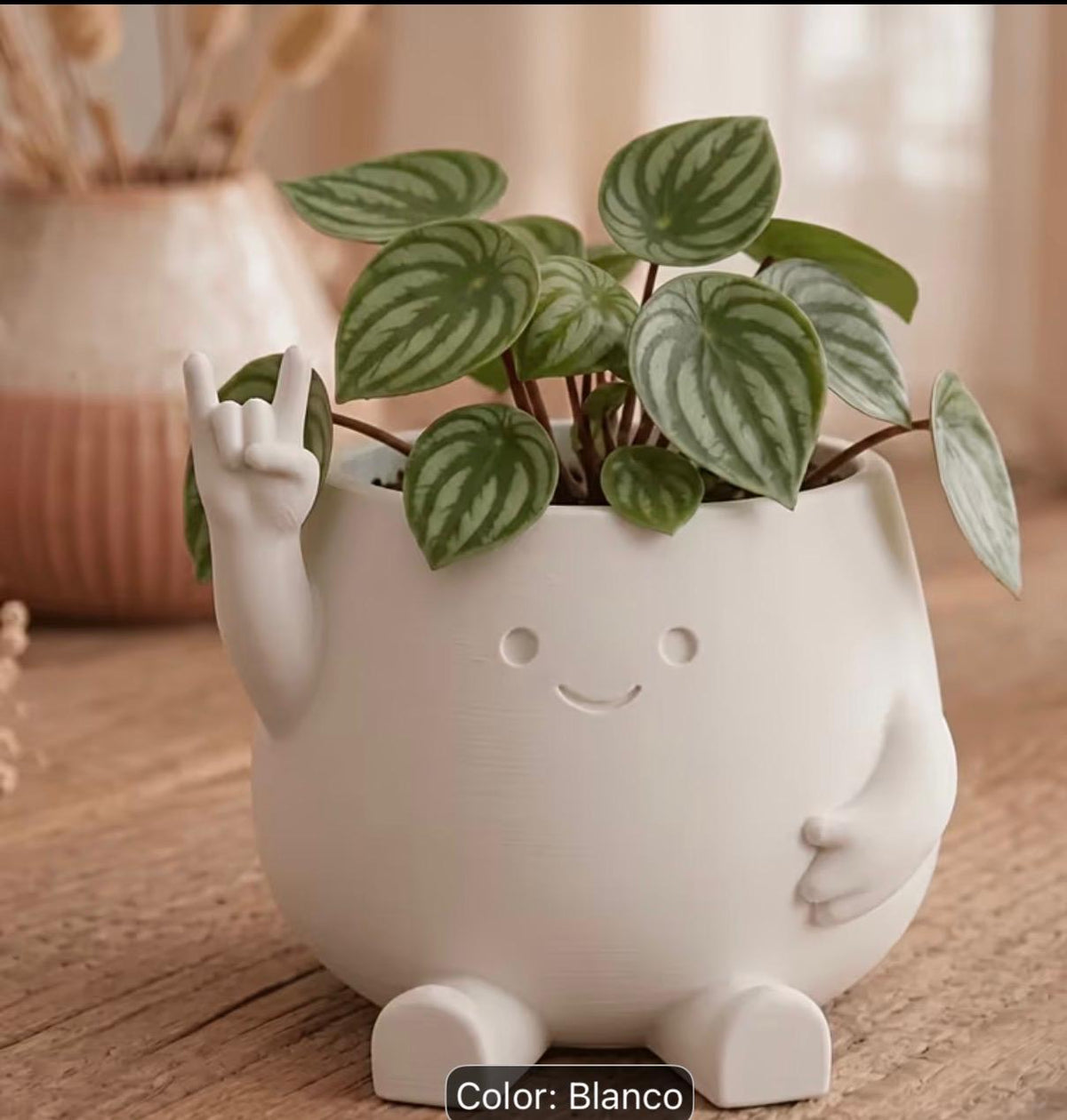 Macetero Decorativo "Rock On" – Dale personalidad a tus plantas 🌿🤘