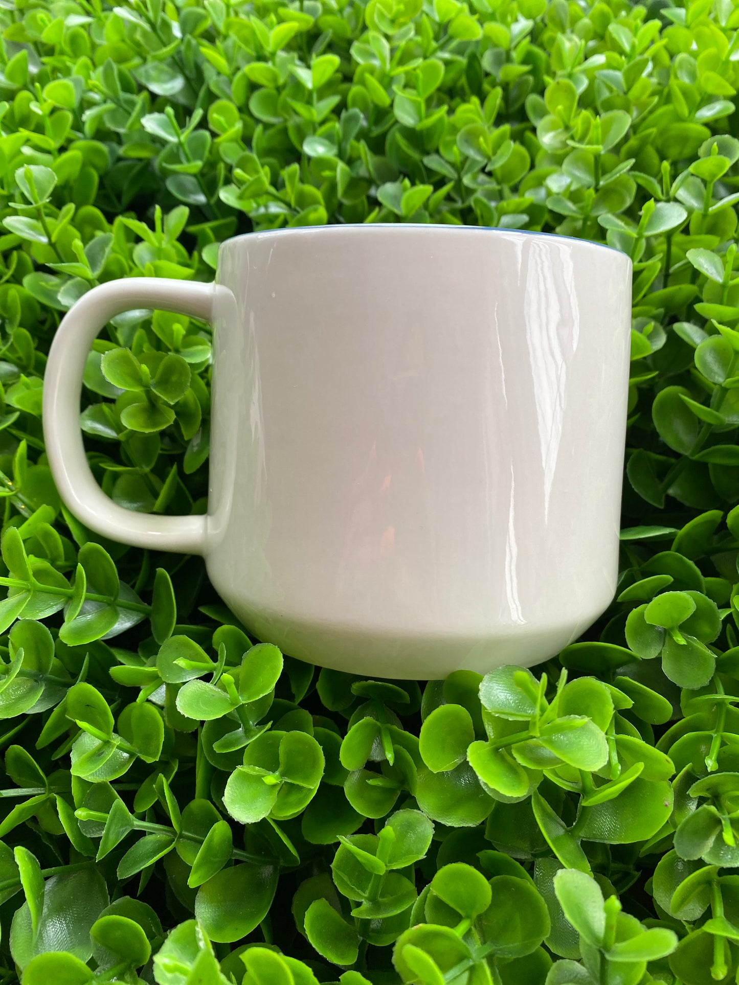 Taza: enjoy the journey