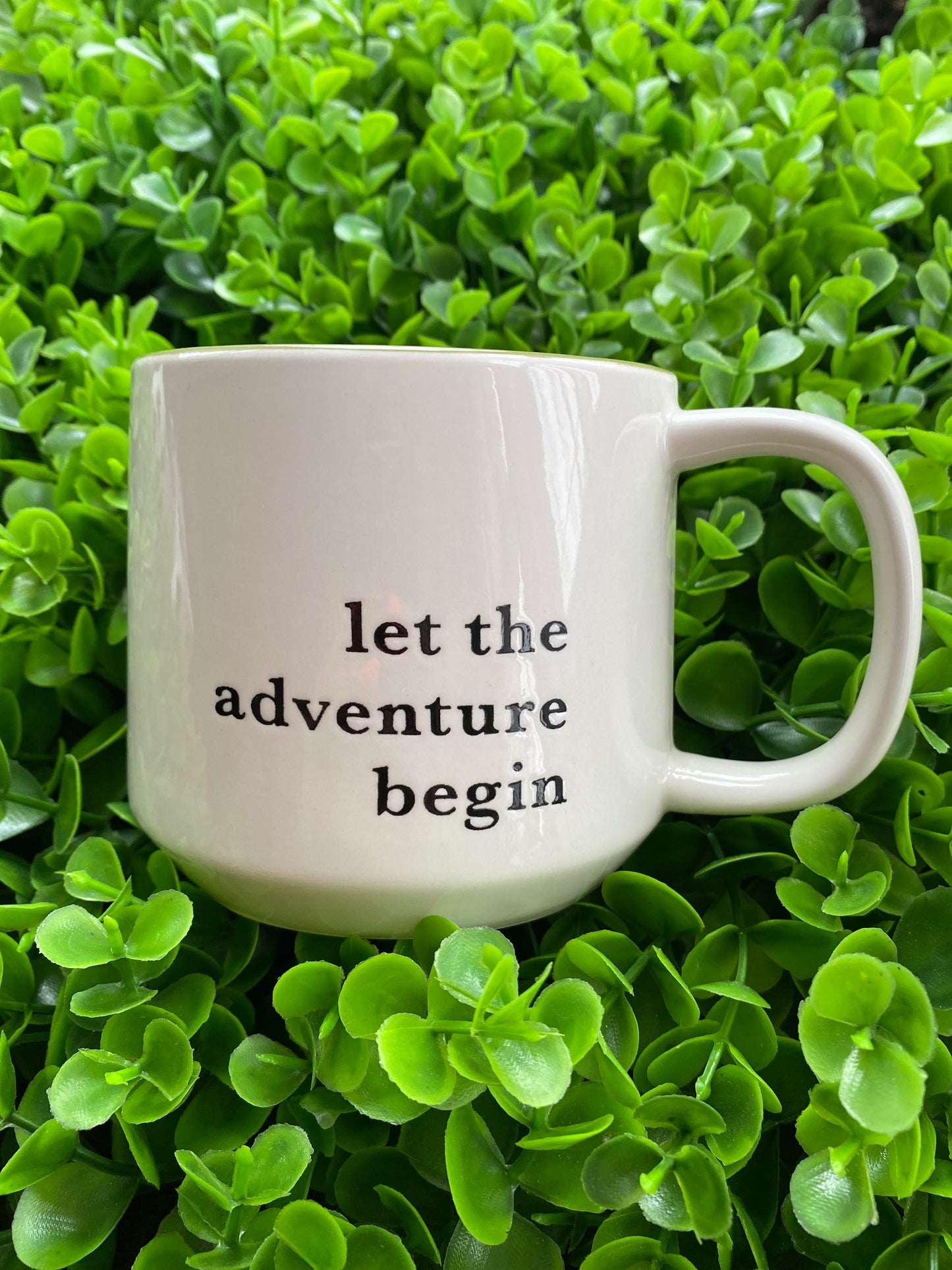 Taza:  Let the Adventure Begin