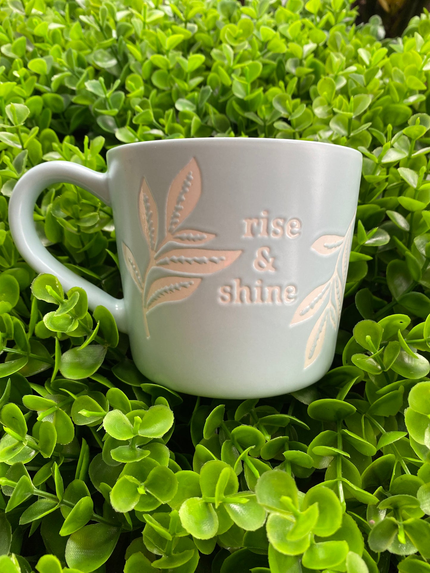 Taza: Rise & shine