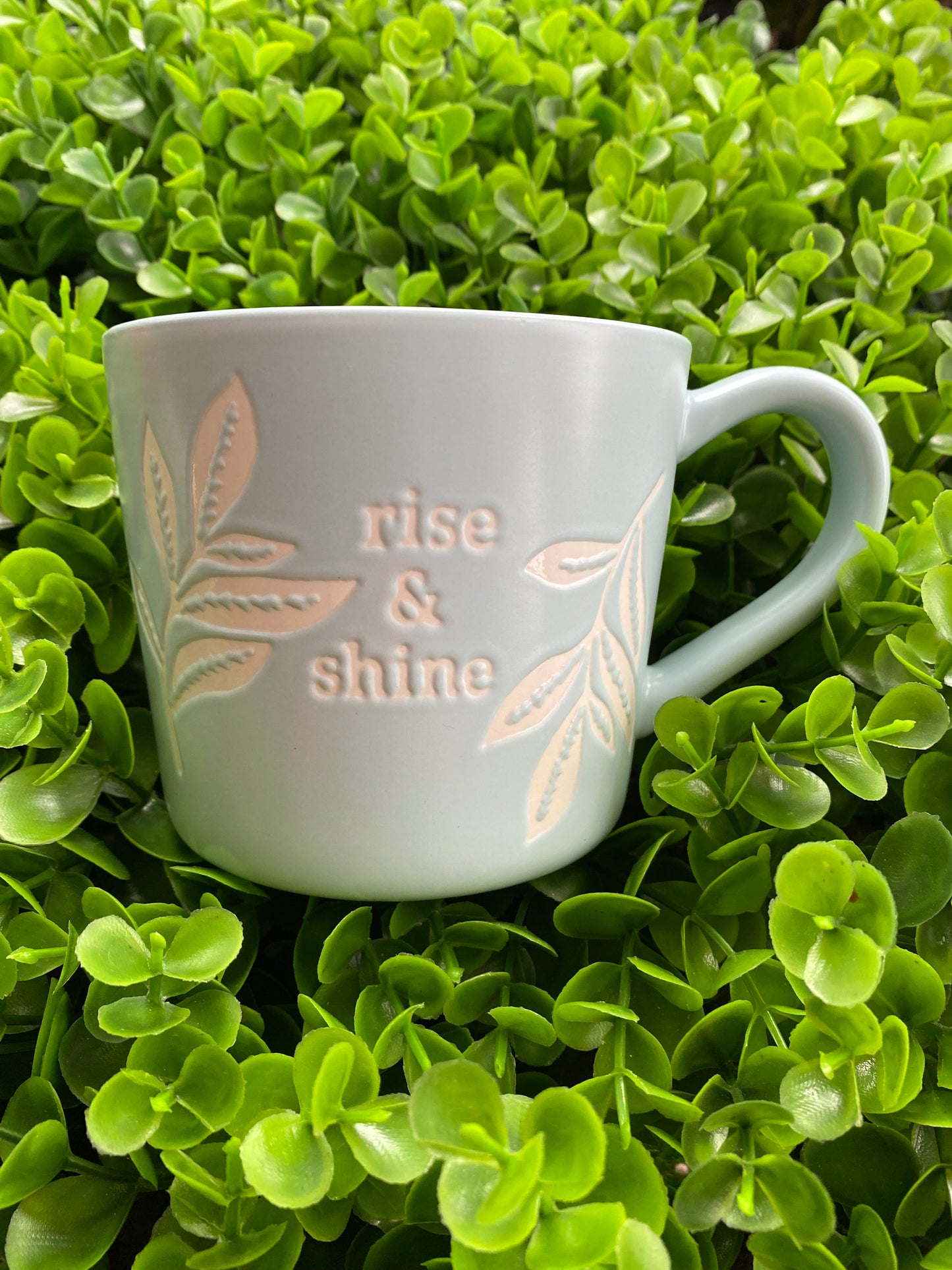 Taza: Rise & shine