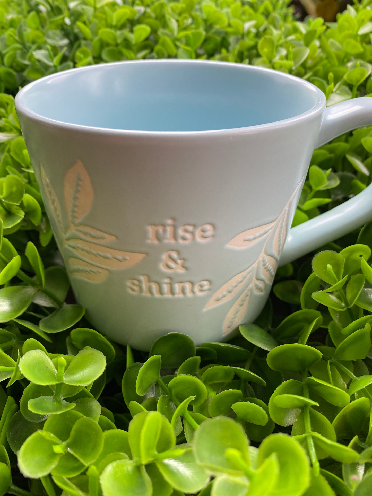 Taza: Rise & shine