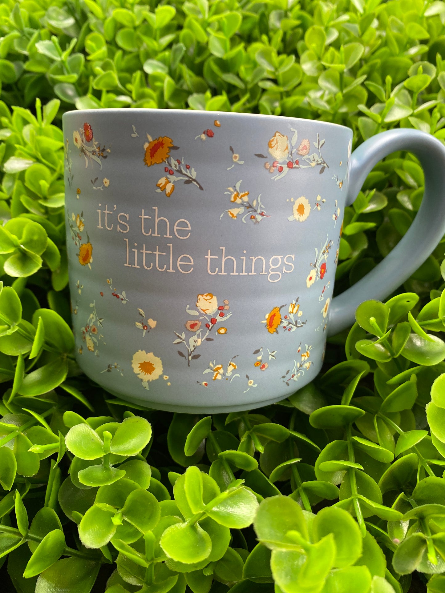 Taza: It's The Little Things