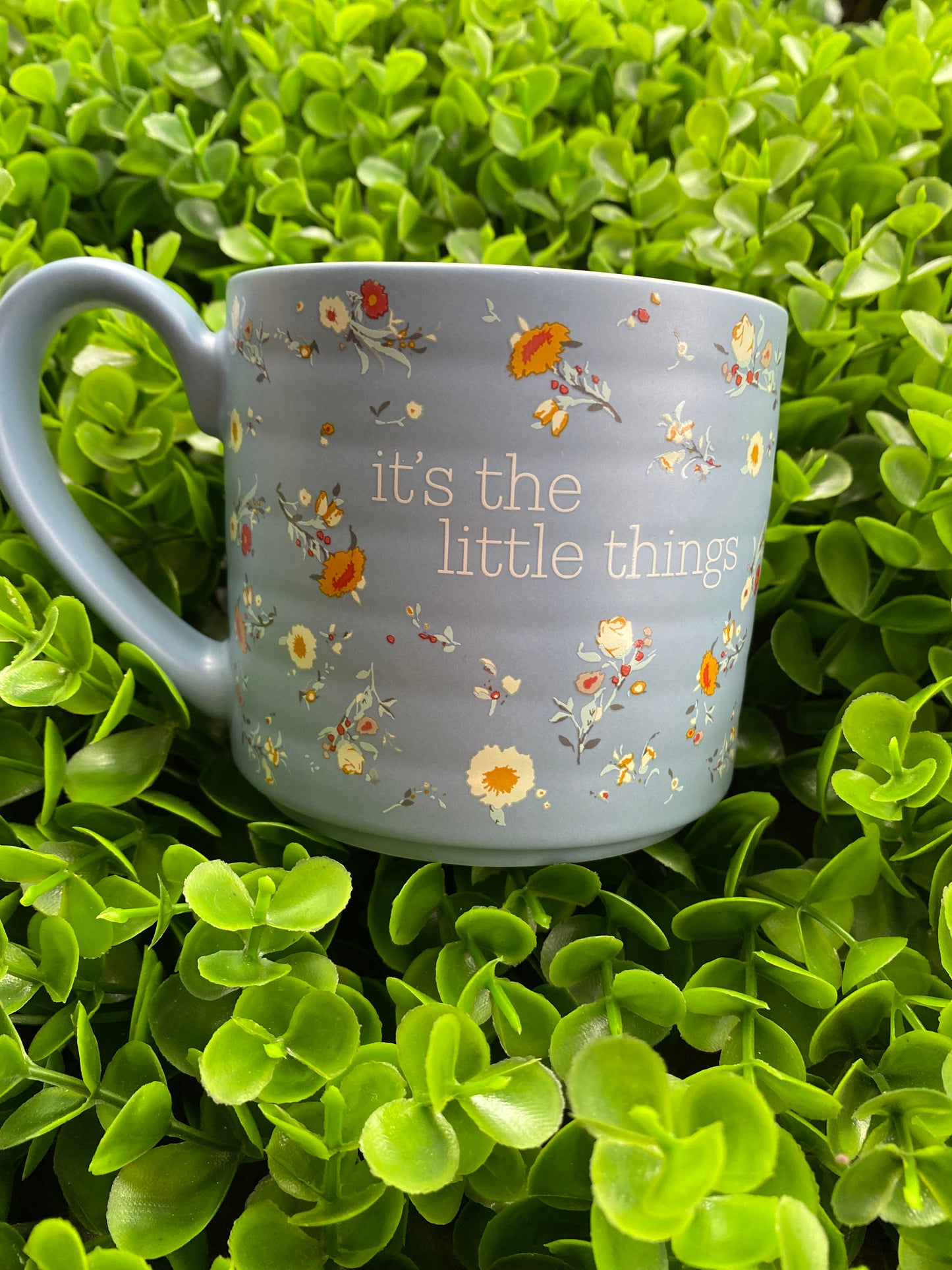 Taza: It's The Little Things